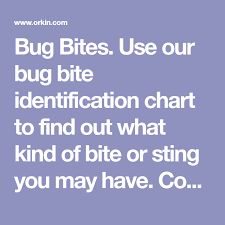 Bug Bites Use Our Bug Bite Identification Chart To Find Out
