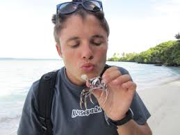 Vacances sur les îles Loyautés