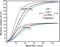 Effects Of Hemoglobin Concentration And Ph Co2 2 3 Dpg And