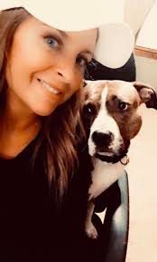 Friendly pit bull free to a good home