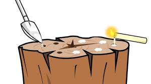 4 Manieres De Detruire Une Souche D Arbre Wikihow