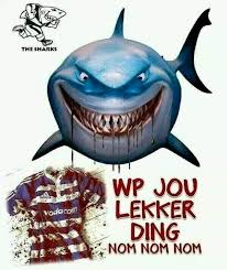 Video published on july 20, 2019 | leave a response. Sharks Jokes As Social Media Tracks Down Unhappiest Western Province Supporter Sapeople Worldwide South African News