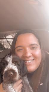 Dog walking and pet sitting services in Merrimack Valley