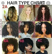 All colors and hair types. Pin By Karewilla On Hair Types Natural Hair Types Curly Hair Styles Naturally Curly Hair Tips