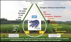 Overview of Ragauskas Accomplishments at GA Tech