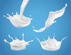 More than 12 million card background abstract social food menu deer letterhead charity eps carnival toilet islam. 10 Kombaiya Ideas In 2020 Milk Splash Milk Packaging Milk