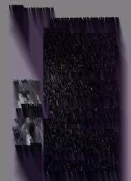 Feedback : the video data bank catalog of video art and artist interviews