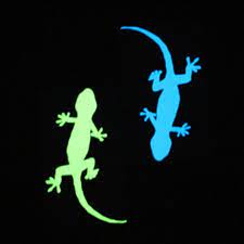 Mewarnai gambar hewan cicak warna warni gambar. Lizard Stiker Dinding Bahan Vinyl Gambar Kartun Cicak Glow In The Dark Untuk Dekorasi Kamar Anak Shopee Indonesia