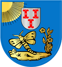 It is known for its poultry industry and large protestant community. Datei Coat Of Arms Of Barneveld Svg Wikipedia