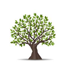 Arbol De La Vida Dibujo Vectores Libres De Derechos Istock