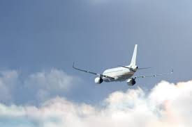 Executive Leadership