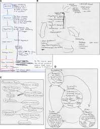 Example Pre And Post Scientific Process Flowchart