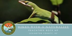 Hikes with a Naturalist - Peachtree Rock Heritage Preserve