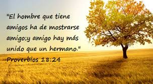 10 Versiculos De La Biblia Sobre La Amistad Sana Doctrina Videos Cristianos Versiculos De La Biblia Versiculos Biblicos Versiculos Biblicos De Fe