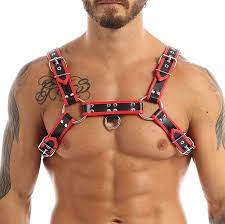 Gay harness