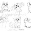 Blue merle border collie in black and white with a few coloured. 1