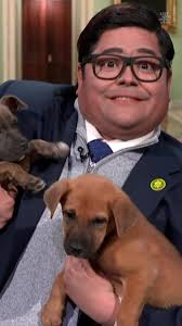 Congressman George Santos Funny Moments Compilation