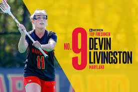 Image result for Erica evansii