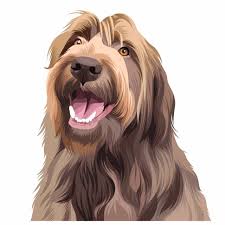  Gorgeous Girl Colorful Animal Paintings Pet Portraits Animal Paintings