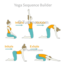 Solar Plexus Chakra Yoga Poses Kneeling Cat Swan Flow Cow Pose Yoga Yoga Sequences Yoga
