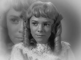 Interview with Alison Arnett of Little House