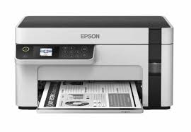 Where is the product serial number located? Epson Ajurit Mac