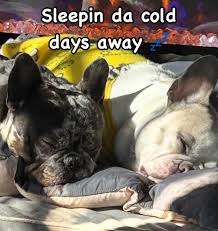 Ethel Bean and Edwin H (@marvelous_miss_ethel_bean) • Instagram photos and  videos