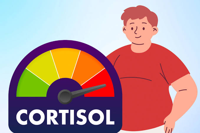 Kiểm soát cortisol để giảm mỡ bụng và cải thiện sức khỏe