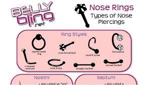 Pros And Cons Of Nose Piercing Hrf Nose Piercing Bump Nose Piercing Nose