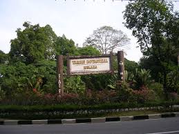 We did not find results for: Taman Botanikal Melaka Mapio Net