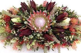 Welcome Resendiz Brothers Protea Growers Llc Was Established In 1999 And Is Now One Of California Casket Flowers Australian Flowers Australian Native Flowers