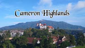 The grapes were so big, there were so many of grapes that are waiting to be harvested. Cameron Highland Archives A Blog On Travelling And Exploring The World