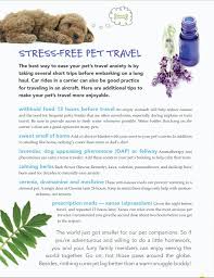 6 Tips For Stress Free Pet Travel Never Give Your Pet