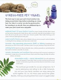 6 tips for stress free pet travel never give your pet