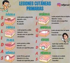 Mác de la hipo la va de p (tatu plac tenci comp (milí centí pápu que invo huell epidé nód duro tado, evolu recer en de nud palpa desa tum de vario le de. Lesiones De La Piel Udocz