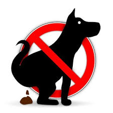 Darüber hinaus bekommen sie auch plaketten und schilder mit ausführlichen erläuterungen zu diesem thema. Hundekacke Stock Photos And Royalty Free Images Vectors And Illustrations Adobe Stock