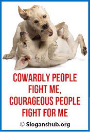 A boy can learn a lot from a dog: 33 Best Anti Dog Fighting Slogans Sayings