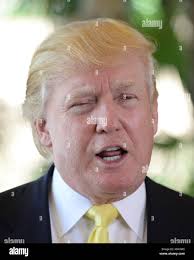 largo florida) not key hi-res stock photography and images