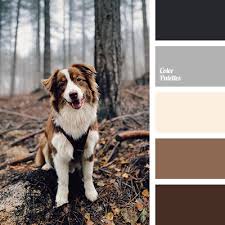 Maybe you would like to learn more about one of these? Coffee Color Color Palette Ideas