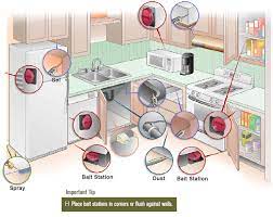 The site navigation utilizes arrow, enter, escape, and space bar key commands. How To Get Rid Of Roaches Indoor Roach Control Get Rid Of Roaches Guide