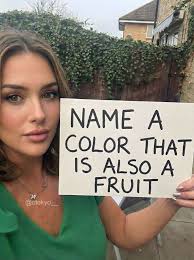 Kittens in kitsap county wa?