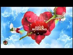 New Good Morning Video Subha Bakhair Status Good Morning Whatsapp Satatus Urdu Hindi Youtube Funny and thoughtful, these shayari will bring smile to everyone. good morning whatsapp satatus urdu