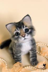Bebek Kedi Kittens Cutest Cute Animals Cats And Kittens