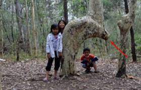 We did not find results for: 7 Tanda Kebesaran Allah Swt Yang Tidak Terbantahkan