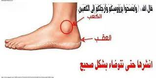 وامسحوابرؤوسكم وارجلكم الى الكعبين