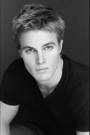 Rate Steven Amell (arrow actor)