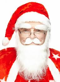 Witte kerstmanbaard met wenkbrauwen