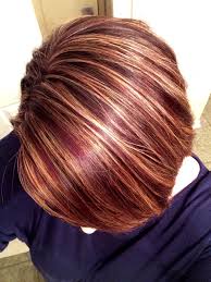 Hair Color Merlot Base With Blonde Highlights Merlot Hair Color Spring Hair Color Brunette Hair Color