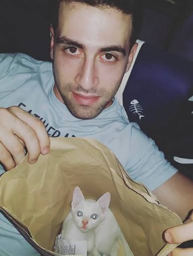 The Hungry Syrian Wanderer | I lost my boy. Milky Boy wasn't just my cat, he  was my constant through every chapter of my life. I had him when I was still
