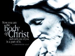 Or a message of wisdom. this expression refers to something more than the wisdom 1 corinthians 12:27. 1 Corinthians 12 27 Illustrated Part Of The Body Heartlight Gallery
